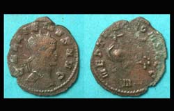 Gallienus, Zoo Issue, Hippocamp Swimming reverse